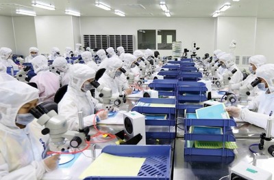 廈門 7萬崗位面朝大海，有色金屬壓延加工行業(yè)誠邀英才