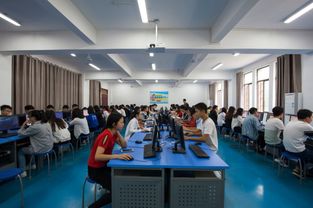 電子商務(wù)技術(shù)開發(fā) 構(gòu)建現(xiàn)代商業(yè)生態(tài)的核心引擎